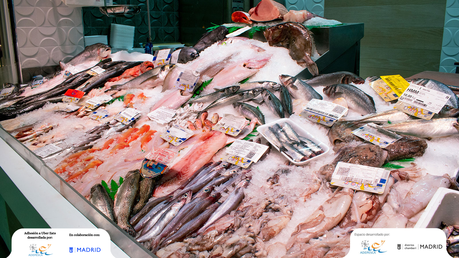 GRAN VARIEDAD DE PRODUCTOS NACIONALES CON MUCHA CALIDAD