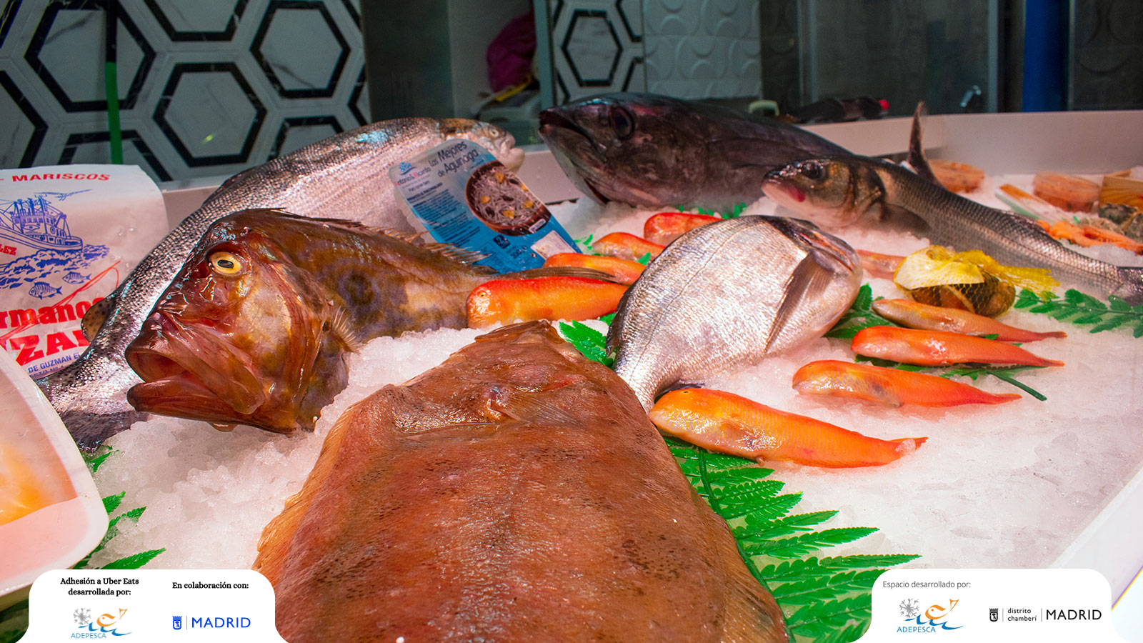 MARISCOS CRUDOS Y COCIDOS AL GUSTO