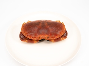 Buey de Mar (unidad de 800-900 g aprox)