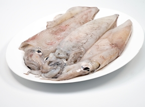 Calamar del Atlántico de cerco (250-300 g)