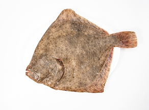 Rodaballo grande (1 kg- 1,5 kg)