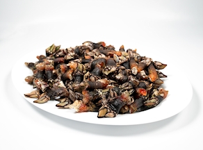 Percebe del Atlántico (250-300 g)