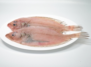 Gallo pequeño (150- 250 g)