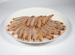 Langostinos Rayados congelados Medianos (cajas de kilo)