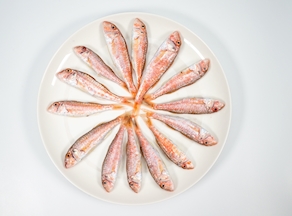 Salmonete de Fango (200-250 g)