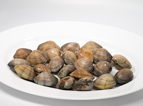 Almeja de Pontevedra terciada (250-300 g)