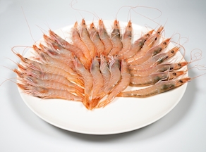 Gamba Blanca Fresca (200-250 g)