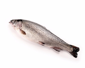 Trucha de piscifactoría ( 350 a 400 grs aproximado)