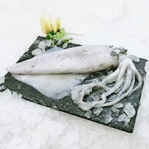 Calamar fresco de potera de San Sebastián ( 500 grs )