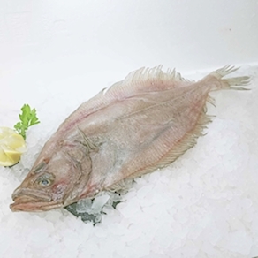 Gallo de ración de Vigo (300grs)