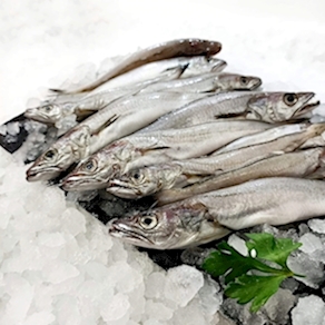 Pijota nacional de Cádiz ( 500 grs )