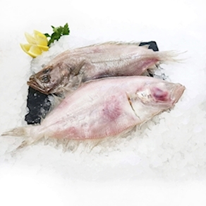 Gallo de filete de Vigo (1.3kg)