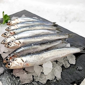 Boquerón gordo de San Sebastián (500gr)