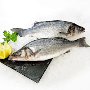 Lubina nacional de piscifactoria (500grs aprox)