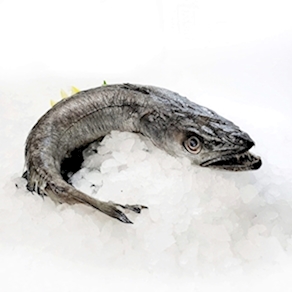 Merluza de pincho (1.5kg)