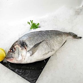 Dorada salvaje de costa (1.3kg - 1.5kg)