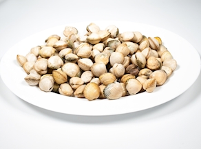 Berberecho gordo (250-300 g)