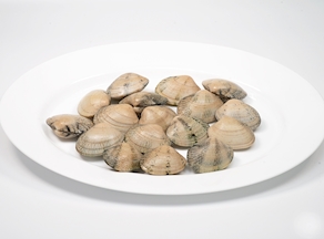 Almeja gallega (250-300 g)