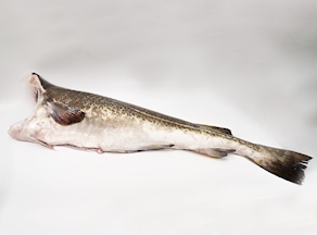 Bacalao del Atlántico Noreste (200-250 g)