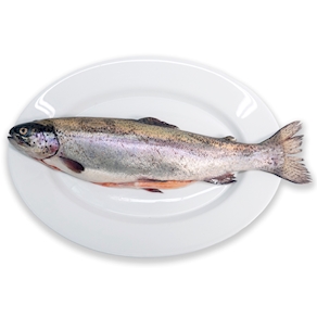 Trucha Arcoiris (300-350 g)