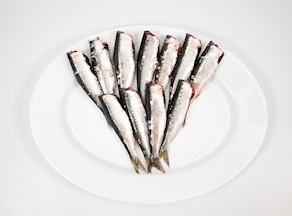 Parrocha  (200-250 g)