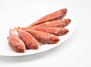 Salmonete de Roca (200-250 g)