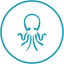 PRODUCTOS CEFALÓPODOS